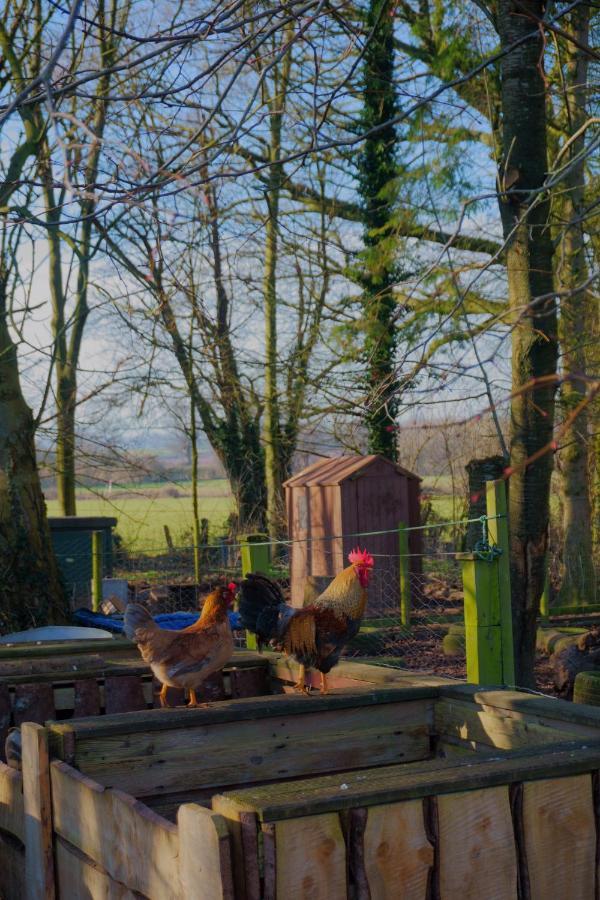 Meadow Barn Villa Hereford Buitenkant foto